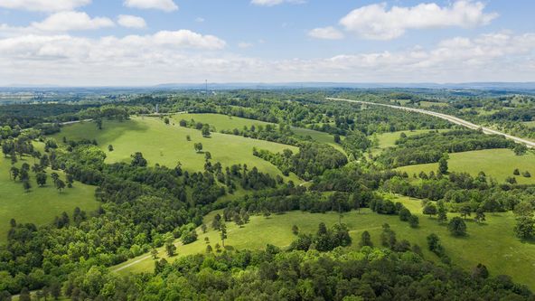Mary Dotty Subdivision-Development : Old Hwy US 65, Omaha , AR 72662